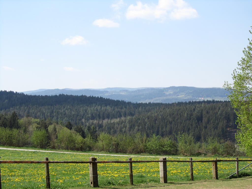 Villa Ferienhaus Zopfhäusl Böbrach Exterior foto