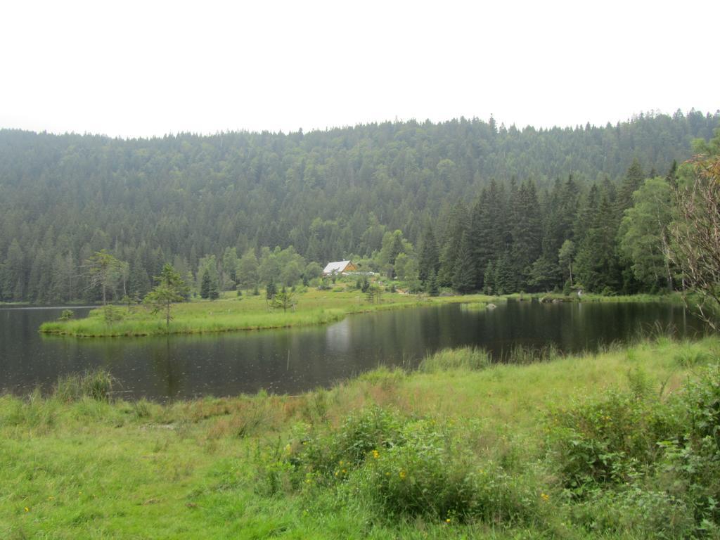 Villa Ferienhaus Zopfhäusl Böbrach Exterior foto