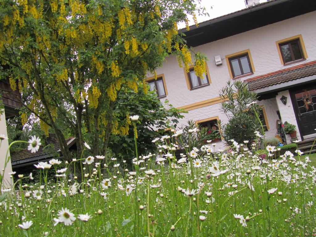 Villa Ferienhaus Zopfhäusl Böbrach Exterior foto