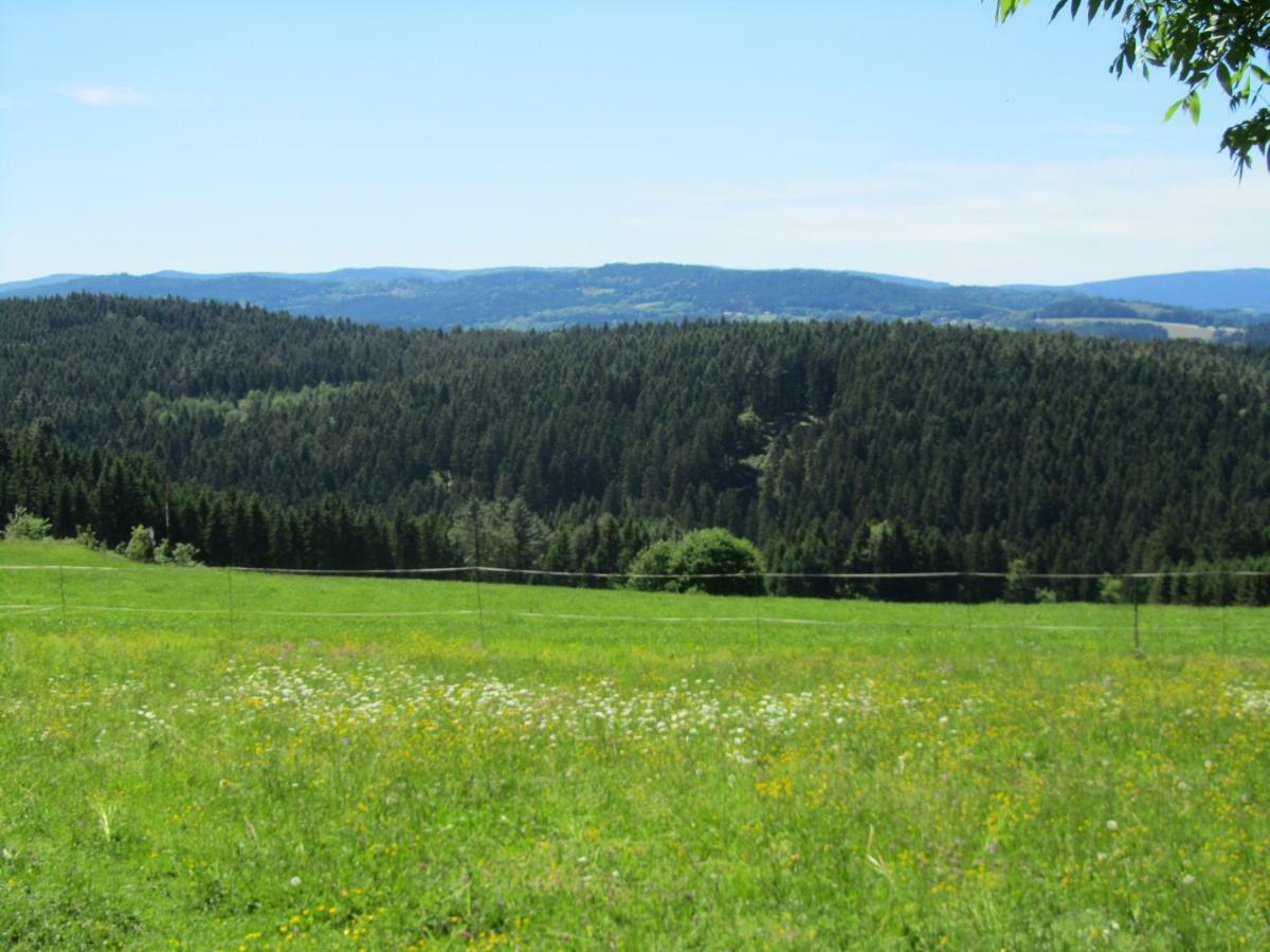 Villa Ferienhaus Zopfhäusl Böbrach Exterior foto